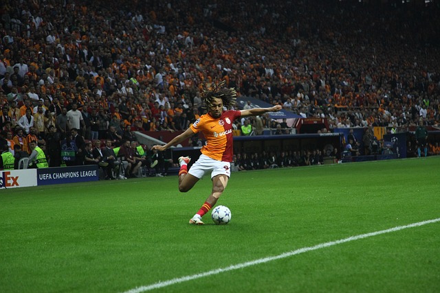 海申花展开 海申花展开