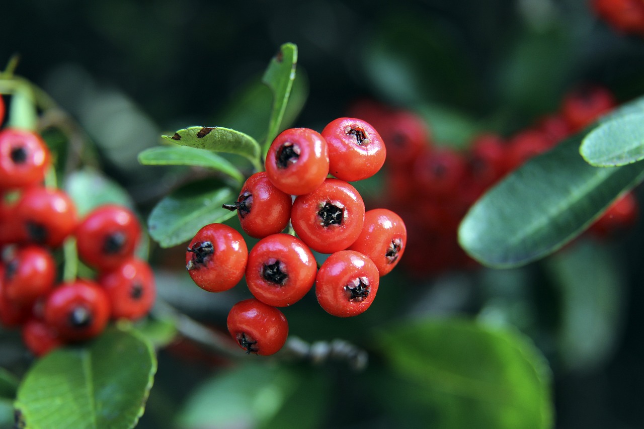 有效地吸引 有效地吸引