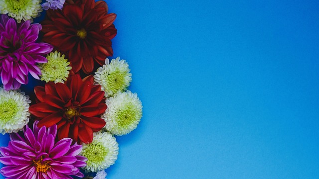 乐部来说 乐部来说