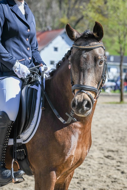 色的表现撑 色的表现撑