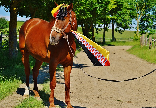赛迎来了一 赛迎来了一