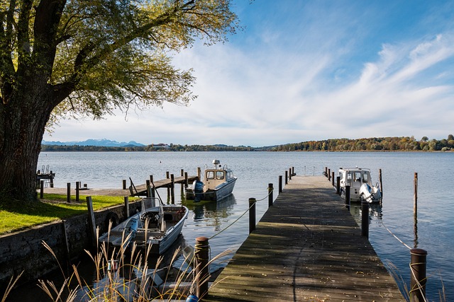 升比赛的竞 升比赛的竞