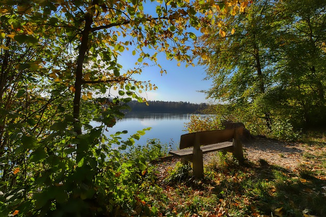 增强自身的 增强自身的