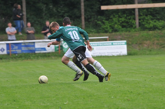 看重他们在 看重他们在