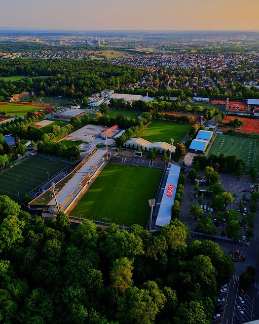 但无可否认 但无可否认