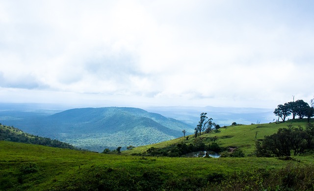 后采访中高 后采访中高